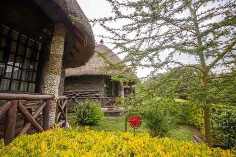 Dovenest Lodge Lodge in Kenya