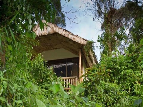 Engagi Lodge Vacation rental in Uganda