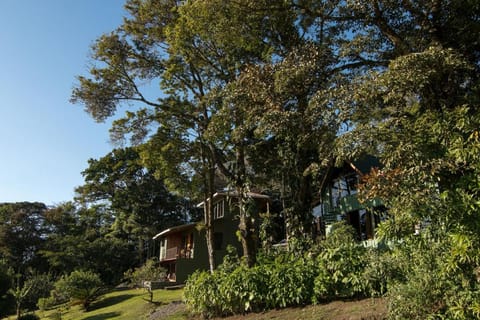 Hotel Flor de Bromelia Vacation rental in Monteverde