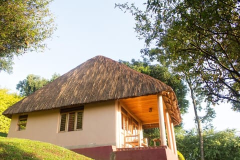 Chimpanzee Forest Guest House Vacation rental in Uganda