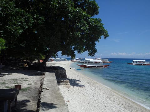 Island Front - Bangcogon Resort and Restaurant Bed and Breakfast in Oslob