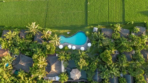 Arya Villas Ubud Vacation rental in Abiansemal