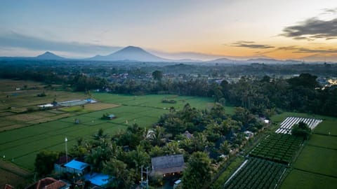 Arya Villas Ubud Vacation rental in Abiansemal