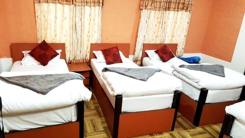 BnB Royal Tourist House Bed and Breakfast in Kathmandu