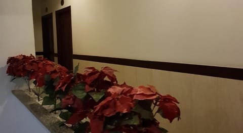 Ngoi Sao Phuong Nam Hotel Vacation rental in Ho Chi Minh City