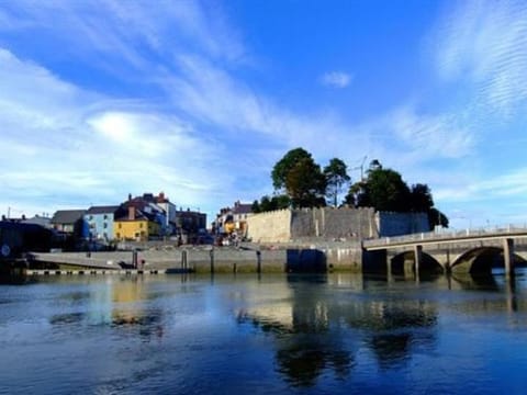 Cardigan Castle Vacation rental in Cardigan