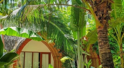 Tropical Temple Siargao Resort Vacation rental in General Luna