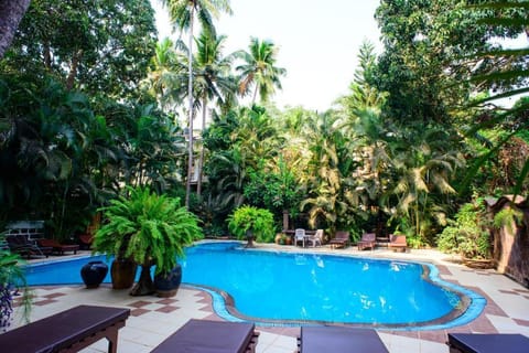 Bellflower Alidia Beach Resort Vacation rental in Baga