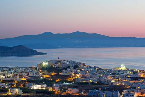 Arco Naxos Luxury Apartments Vacation rental in Naxos