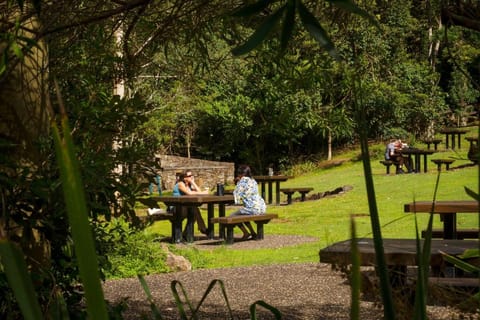 Binna Burra Lodge & Rainforest Campsite Vacation rental in O'Reilly