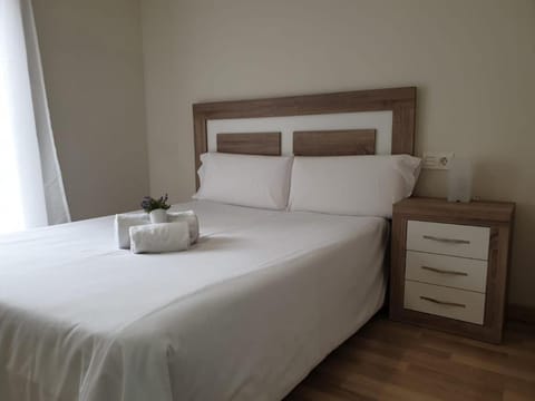 Apartamento Turistico Puente Romano P3 BAJO - B Vacation rental in Salamanca