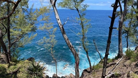 Plumeria  vacances  Urlaubsunterkunft in Réunion