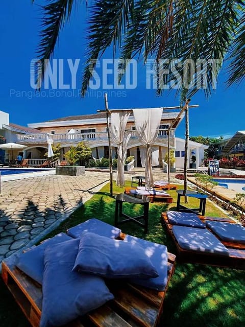 Only Seed Resort Vacation rental in Panglao