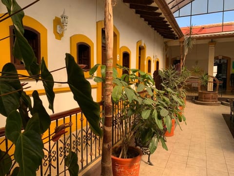 OYO Hotel Real de Cortes Vacation rental in Xalapa