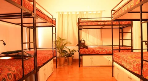 BE ANIMAL Hostel Vacation rental in Bengaluru