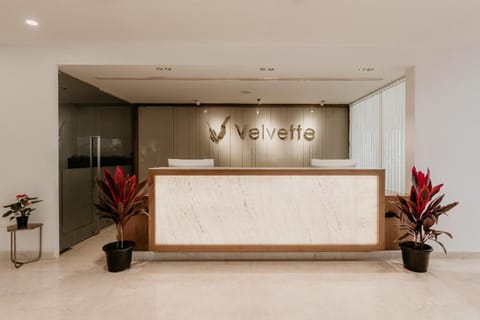 Velvette Hotel Hotel in Bengaluru