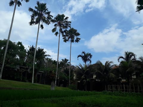 Umae Villa Private Pool Hotel in Ubud