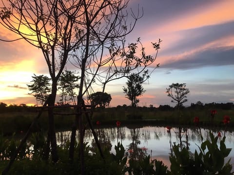 Chapulin Natural Resort Hotel in Chiang Mai