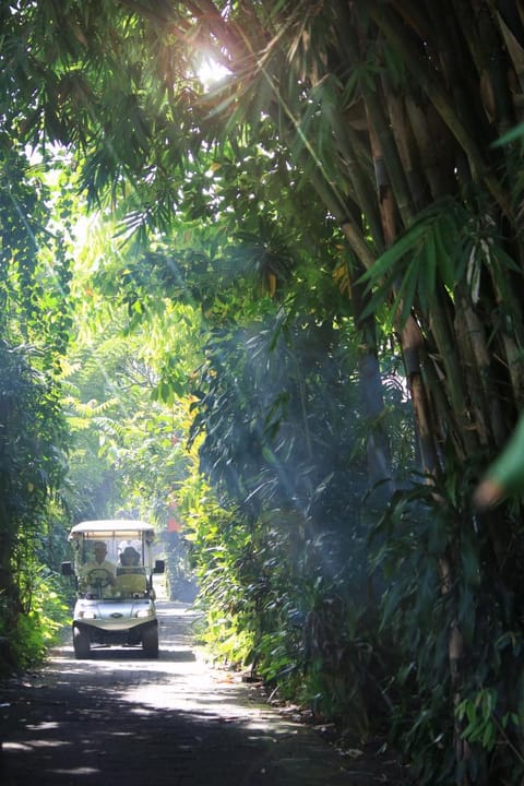 Artist Village by Pramana Watu Kurung Resort in Abiansemal