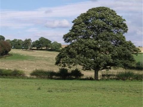 Quixhill - Denstone - Dove Meadow B & B Vacation rental in Staffordshire Moorlands District