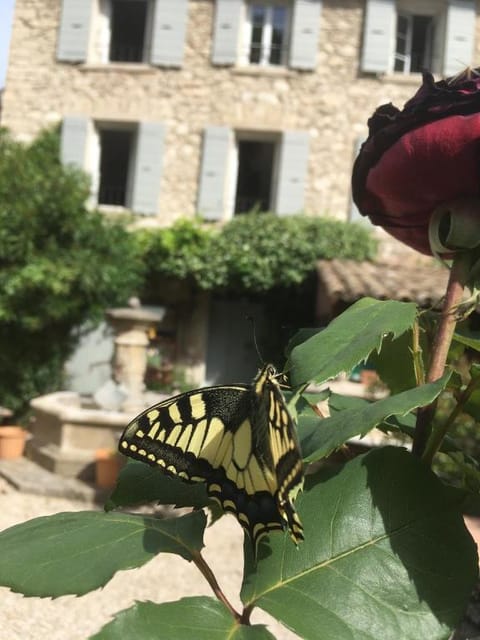 La Figuiere Fontaine de Vaucluse Vacation rental in Fontaine-de-Vaucluse