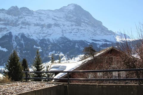 Elements Lodge Vacation rental in Grindelwald