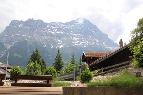 Elements Lodge Albergue in Grindelwald