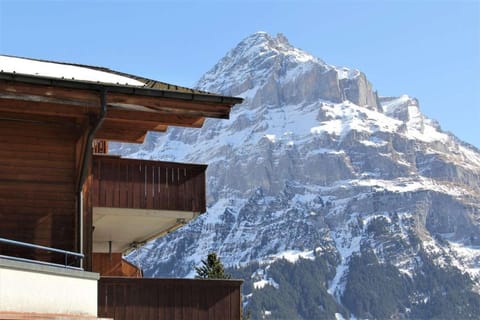 Elements Lodge Capanno in Grindelwald