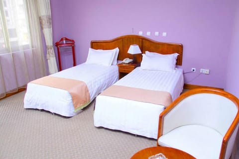 Damu Hotel. Vacation rental in Addis Ababa