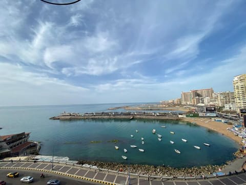 Alexandria Luxury Apartments Gleem Direct Sea View Condo in Alexandria