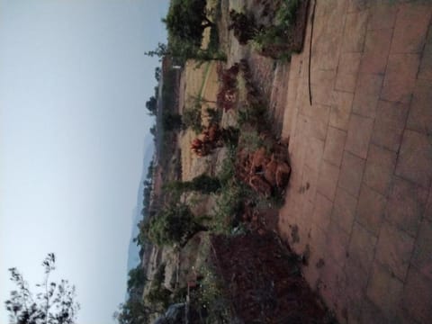 Matruiccha Vacation rental in Mahabaleshwar