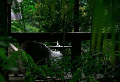 Songbirds Rainforest Retreat Vacation rental in Tamborine Mountain