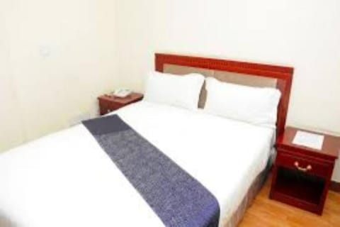 Blue Wave Hotel Vacation rental in Addis Ababa