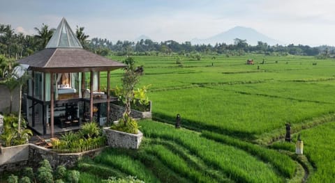 Gdas Bali Health and Wellness Resort Vacation rental in Sukawati