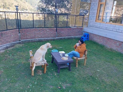 Nomadmanali Bed and Breakfast in Manali
