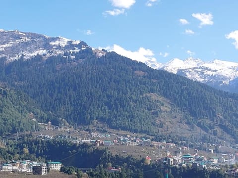 Nomadmanali Bed and Breakfast in Manali