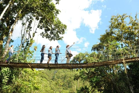 Hacienda Charrascal Coffe Farm Vacation rental in Risaralda