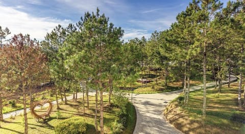 Kim Resort - Khu Nghỉ Dưỡng Rừng Lá Kim Vacation rental in Dalat