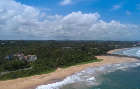 TAAVETTI by DBI Hotel in Galle