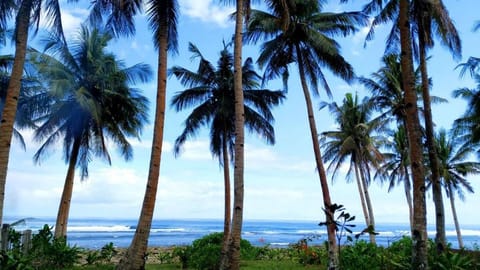 Tarzan’s Sabi Cabin (front beach) DOT accredited  Vacation rental in General Luna