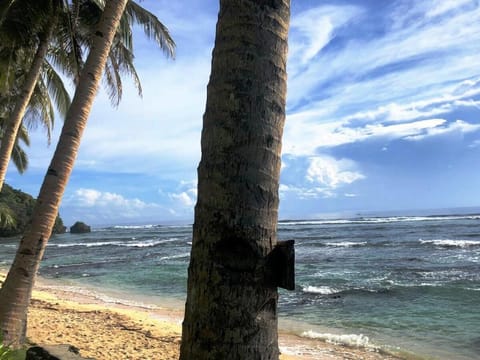 Tarzan’s Sabi Cabin (front beach) DOT accredited  Vacation rental in General Luna