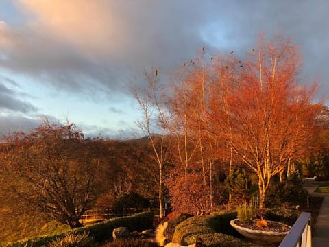 Mole Creek Hideaway Casa vacanze in Mole Creek