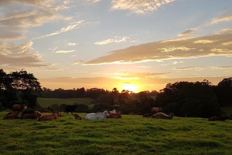 "Seasons of Maleny B&B" Vacation rental in Maleny