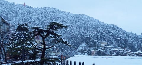 Sunbeam luxurious home Location de vacances in Shimla