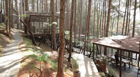 Mơ Stay - Forest Resort Vacation rental in Dalat