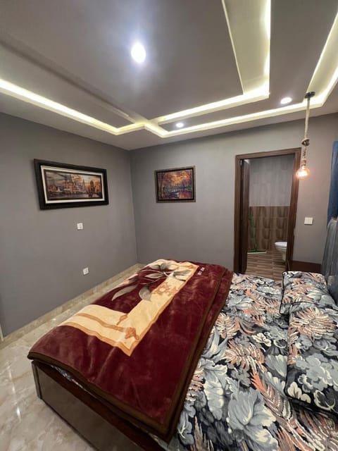 Luxury one bedroom apartment. Condo in Lahore