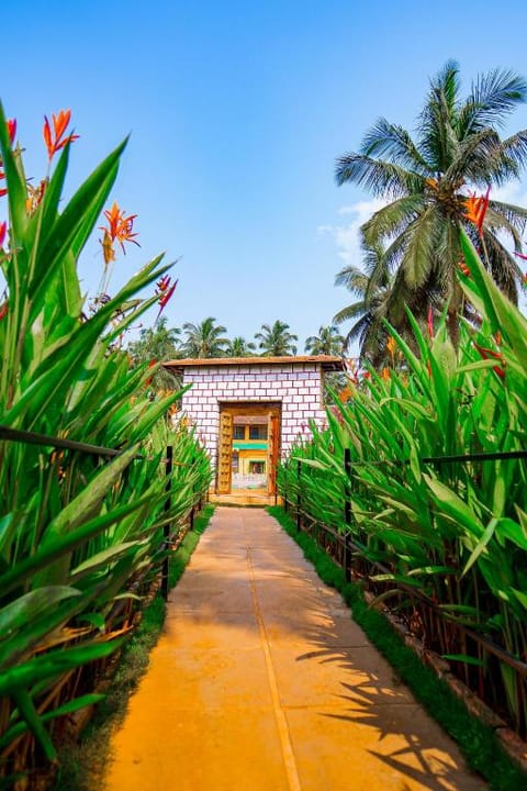 The Tito's Orange Sky Agonda Beach Resort Vacation rental in Agonda