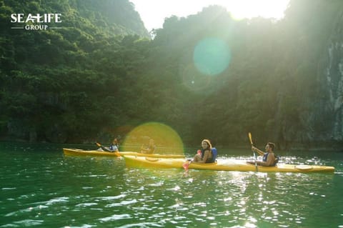 Hai Long Dragon Cruise Docked boat in Laos