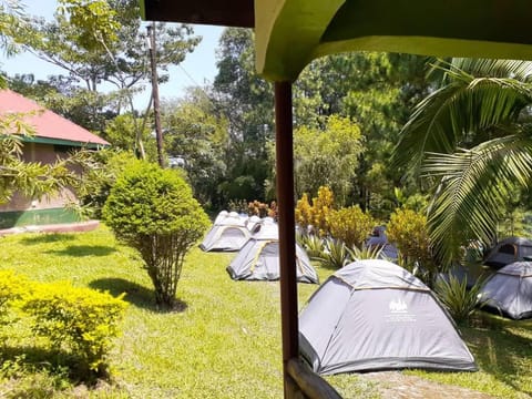 Green Home Cottages and Campsite Bed and Breakfast in Uganda