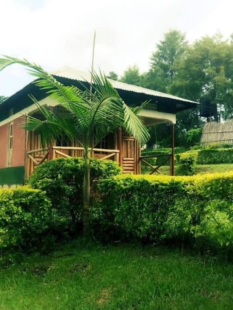 Green Home Cottages and Campsite Bed and Breakfast in Uganda